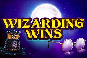 03314 wizarding wins