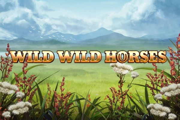 23302 wild wild horses